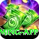 Online Betting Pakistan Pro Gaming App
