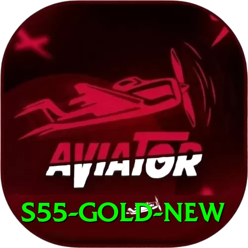 s55 Gold New - 2